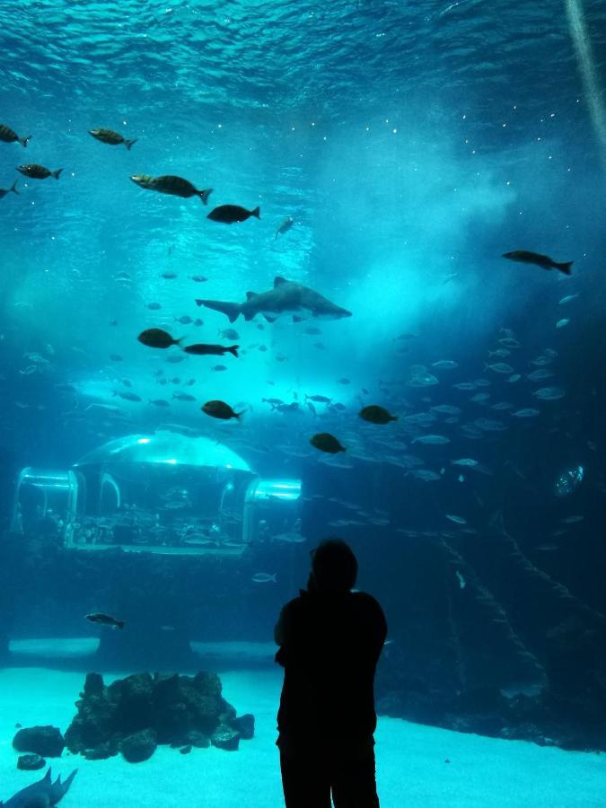 Apartamento Canteras Aquarium *
